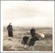 Two Women with Sheep Photo