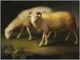 Victorian Sheep Lamb Ram