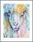 Watercolor Ewe
