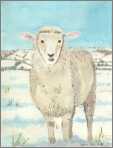 Wc Sheep in Snow