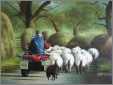 Welsh Sheep Dog Farmer Wales Cymru