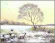 Winter Sheep Acrylic