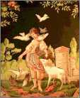 Woman with Sheep Feeding Birds
