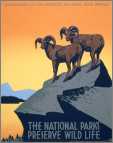 Wpa Poster National Parks Bighorn Sheep Art Deco