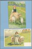 Young Girl with 2 Sheep with Ribblons