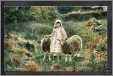 Young Girl with Sheep Rural Farming Tuck