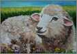 Young Sheep Painting